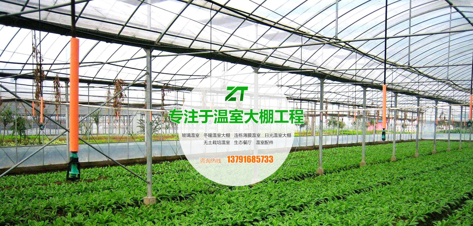 蘇州綠植租賃